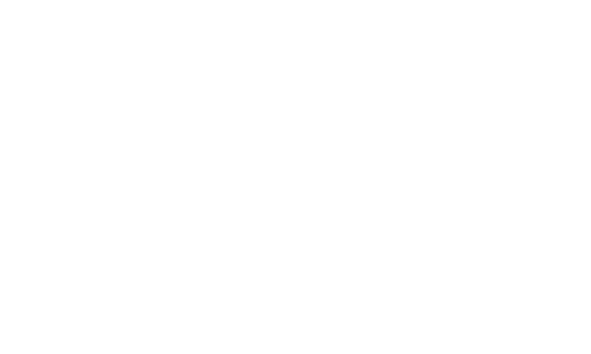zf-01